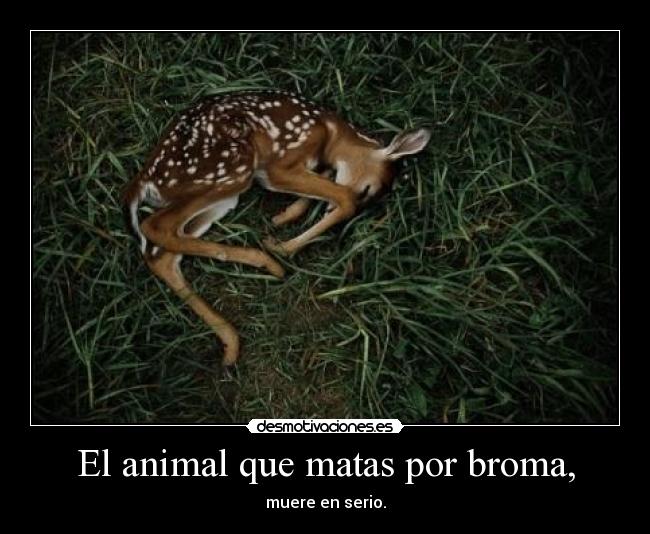 El animal que matas por broma, - muere en serio.