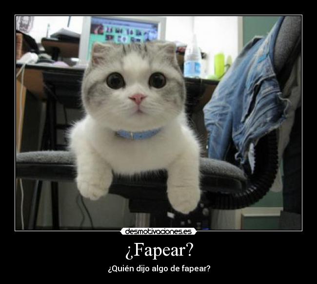 ¿Fapear? - ¿Quién dijo algo de fapear?