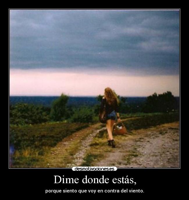 Dime donde estás, - porque siento que voy en contra del viento.