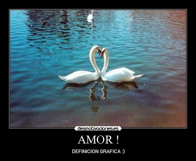 AMOR ! - DEFINICION GRAFICA :)