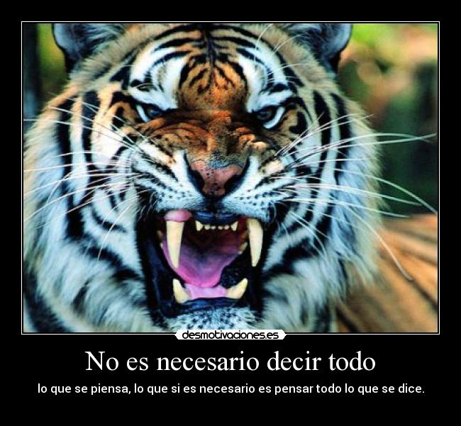 No es necesario decir todo -