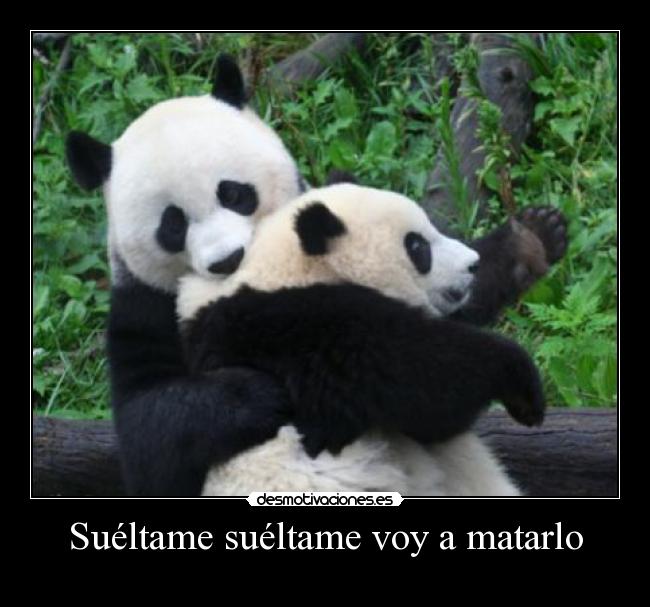 Suéltame suéltame voy a matarlo -