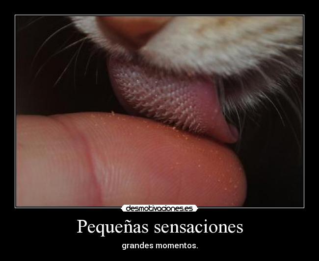 Pequeñas sensaciones - grandes momentos.