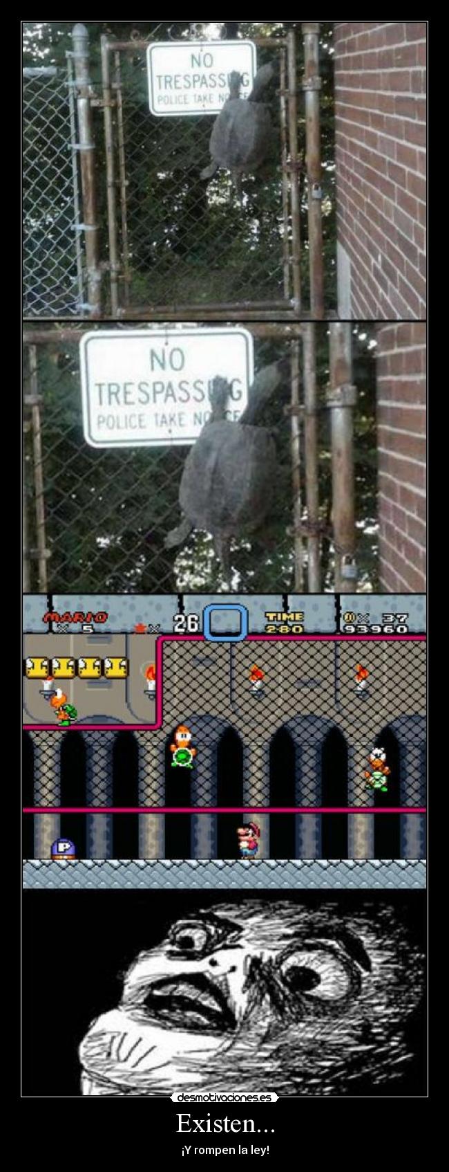 Existen... - ¡Y rompen la ley!