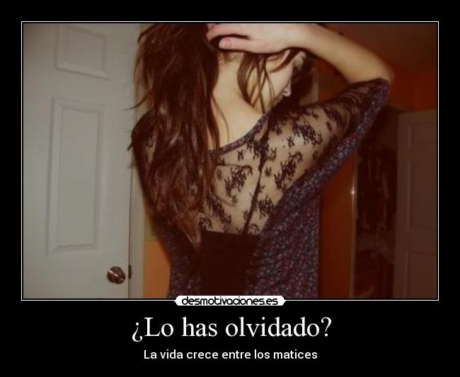 ¿Lo has olvidado? - La vida crece entre los matices
