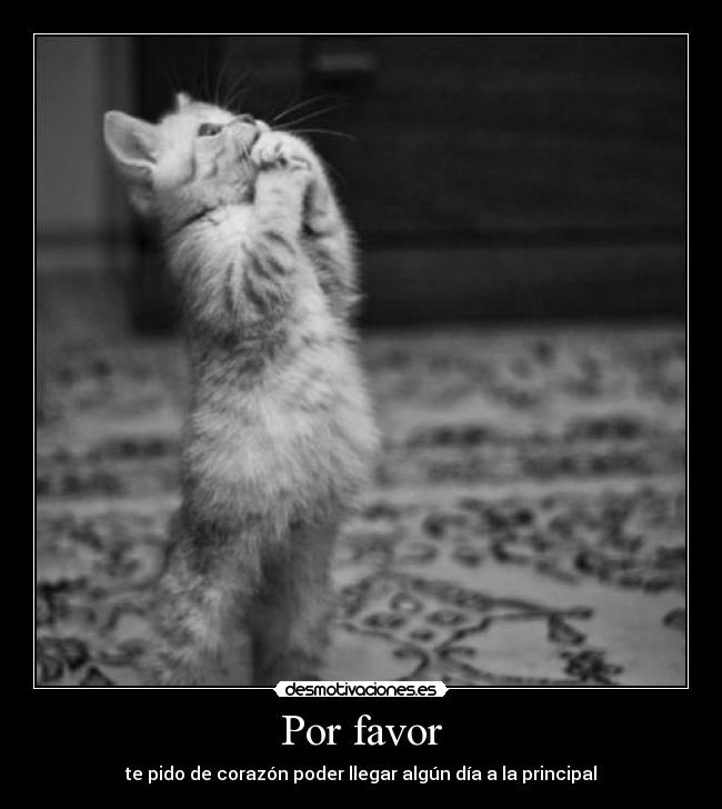 Por favor - 