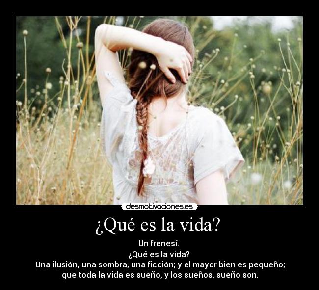 ¿Qué es la vida?  - 