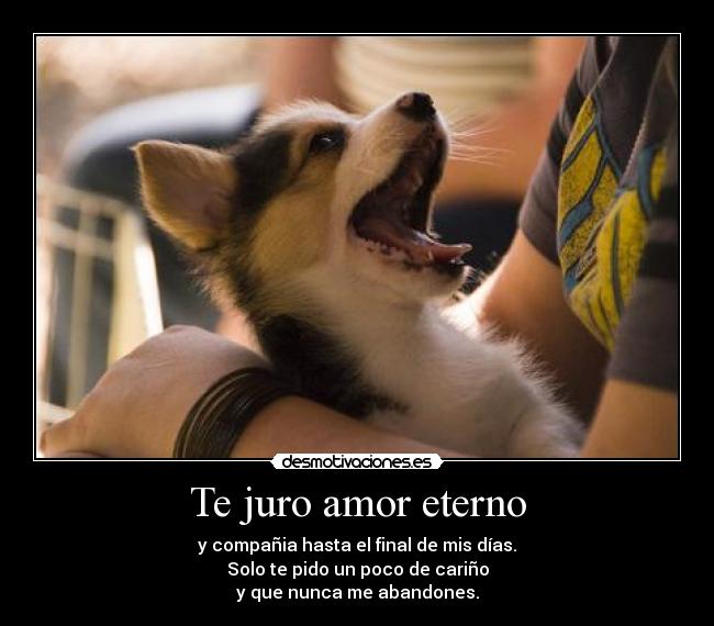 Te juro amor eterno - 