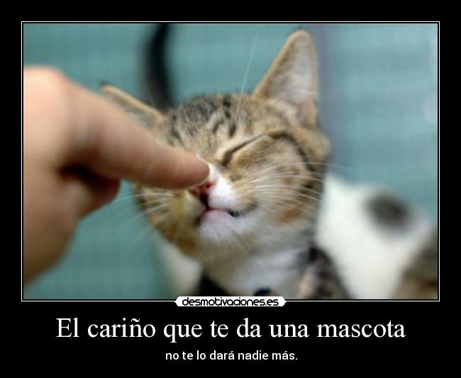 El cariño que te da una mascota -