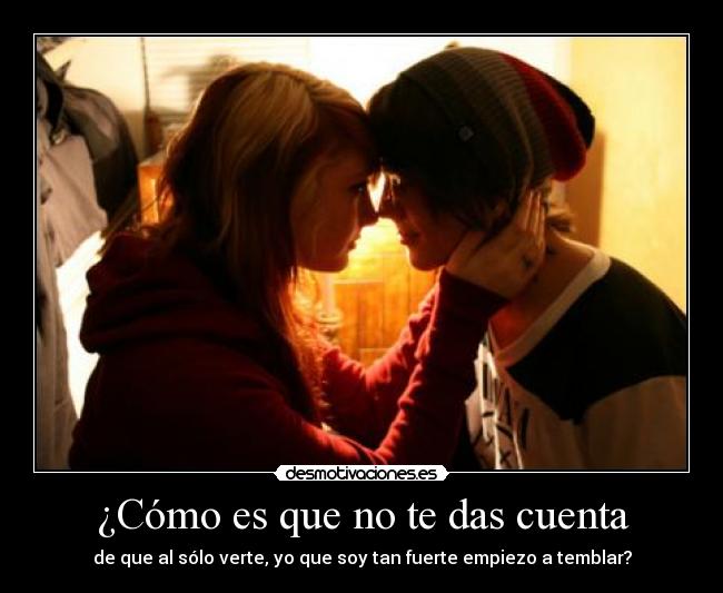 carteles amor cancion don omar desmotivaciones