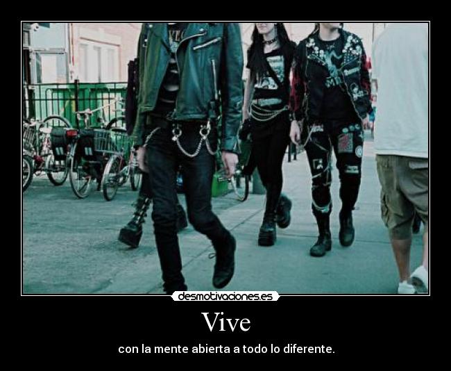 Vive - 