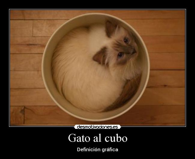 Gato al cubo - Definición gráfica