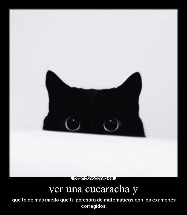 ver una cucaracha y - 