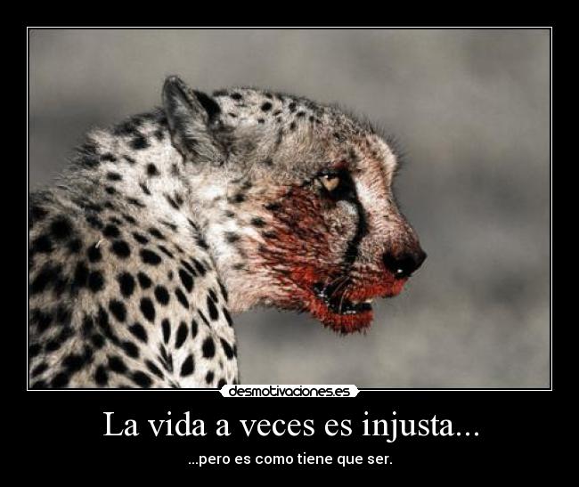 La vida a veces es injusta... - 