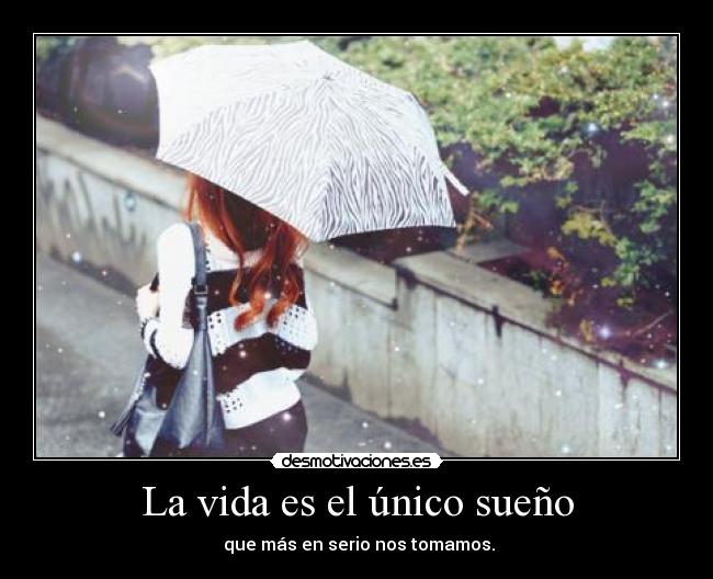 carteles vida vida desmotivaciones