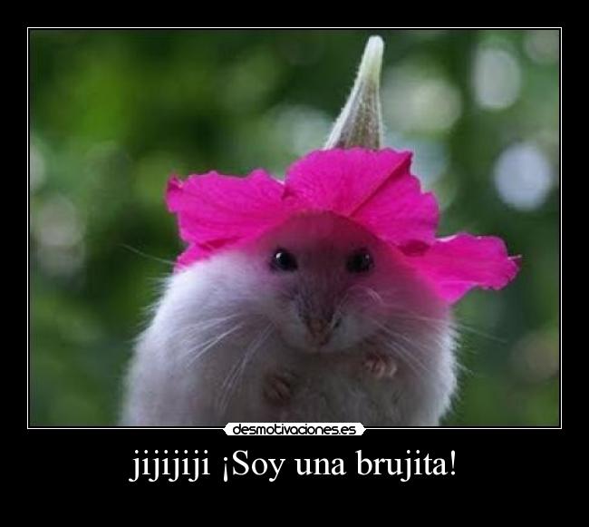 jijijiji ¡Soy una brujita! - 
