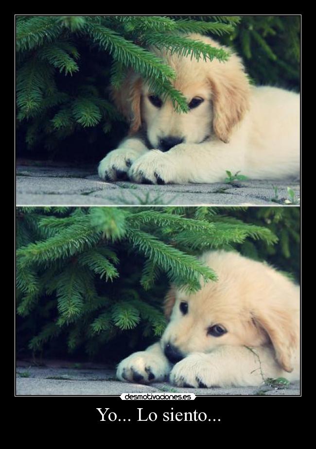 carteles siento desmotivaciones