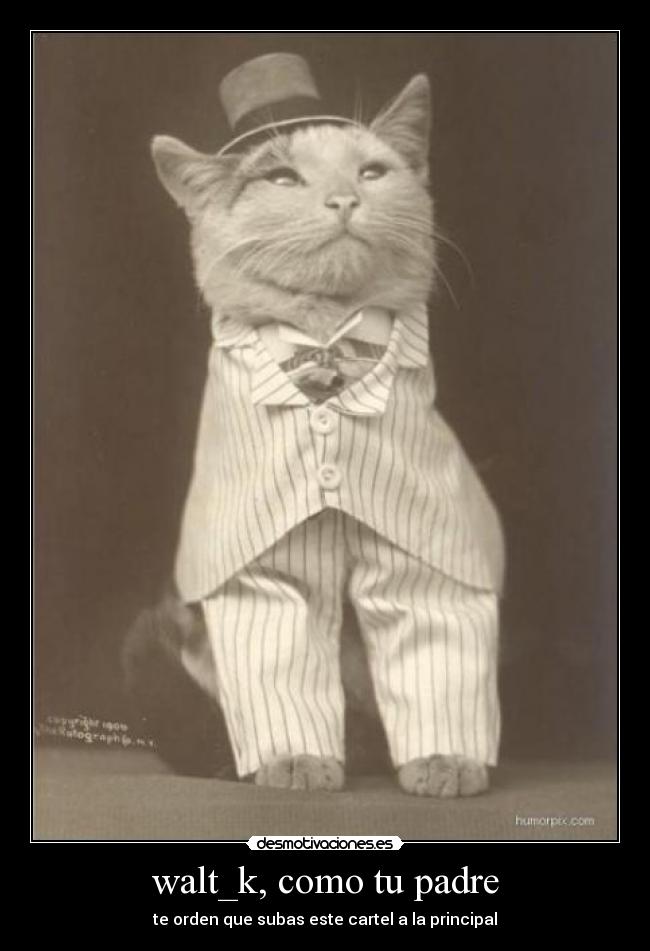 walt_k, como tu padre -