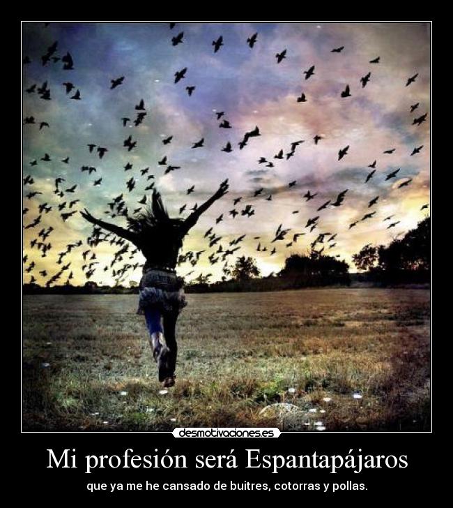 Mi profesión será Espantapájaros -