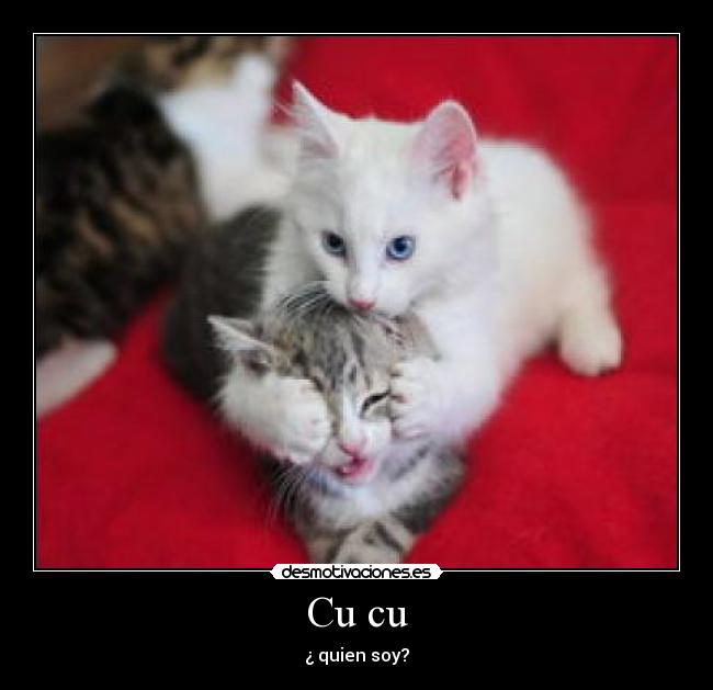 Cu cu - ¿ quien soy?