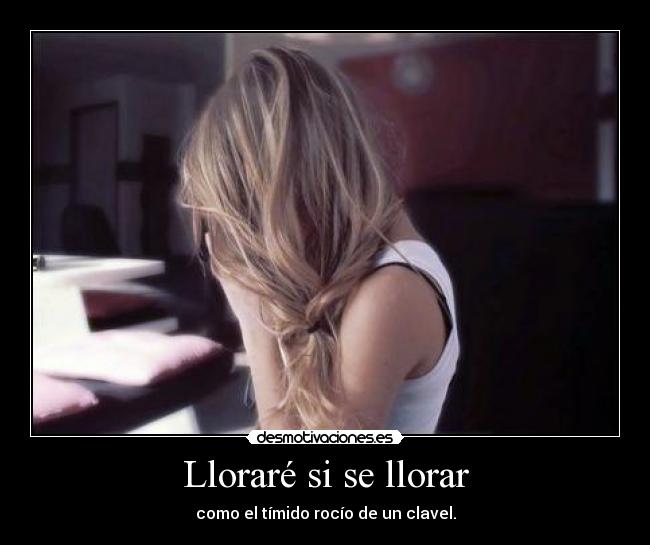 Lloraré si se llorar - como el tímido rocío de un clavel.