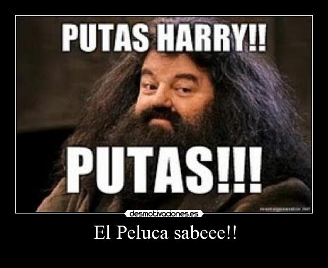 carteles peluca bananero desmotivaciones