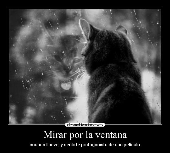 Mirar por la ventana -