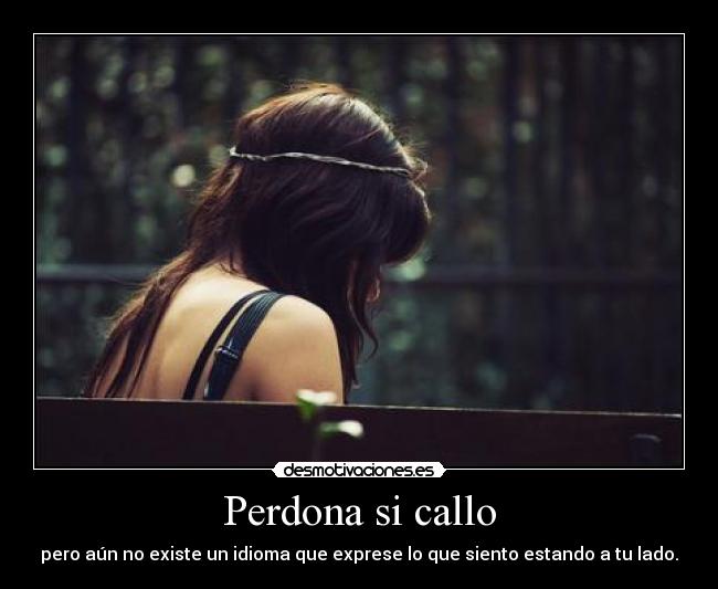 carteles callar expresar idioma siento lado desmotivaciones