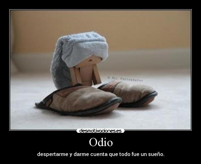 Odio - despertarme y darme cuenta que todo fue un sueño.