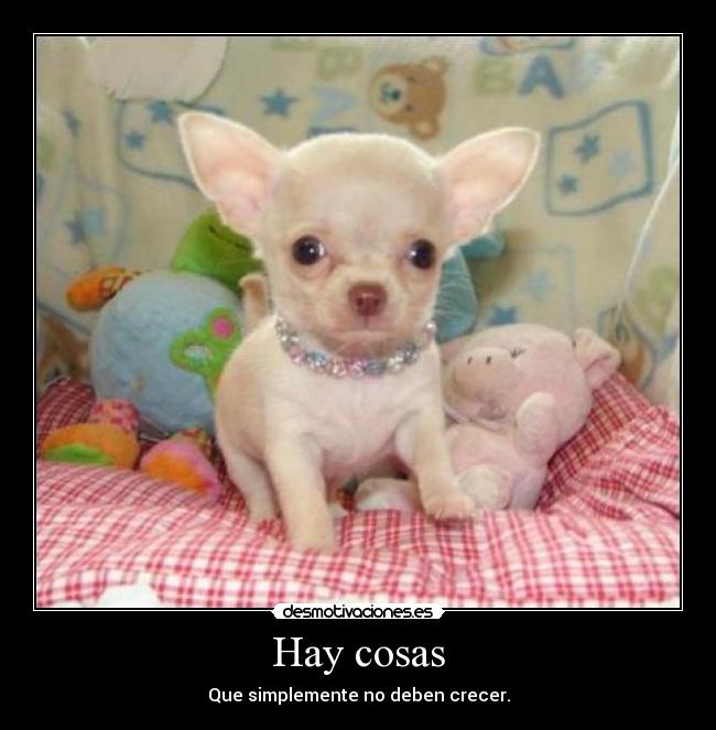 Hay cosas - Que simplemente no deben crecer.