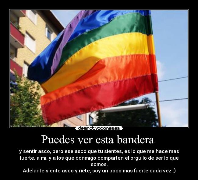Puedes ver esta bandera -