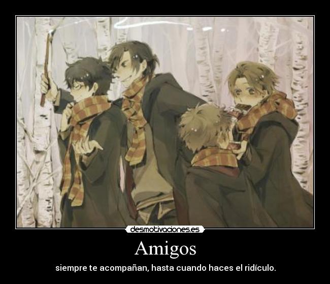 Amigos -