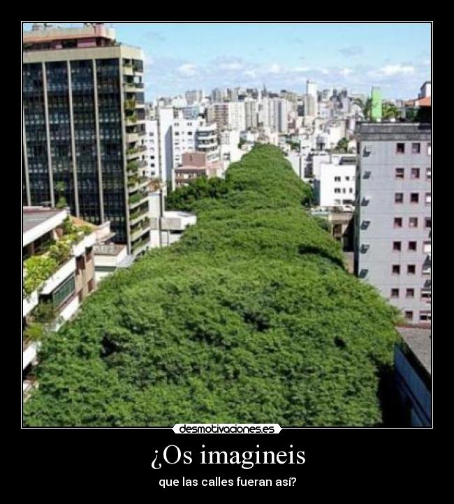 ¿Os imagineis - que las calles fueran así?