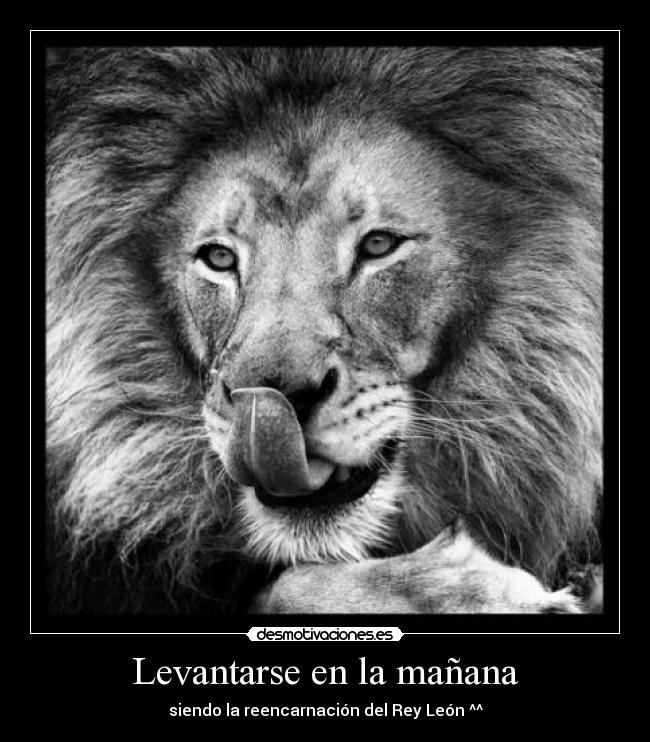 Levantarse en la mañana - 