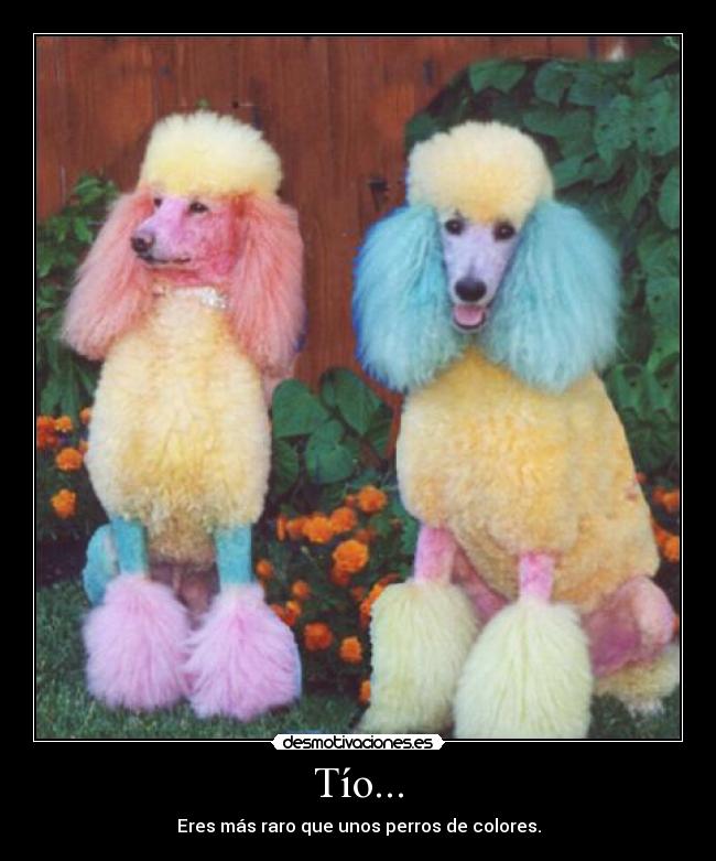 Tío... -