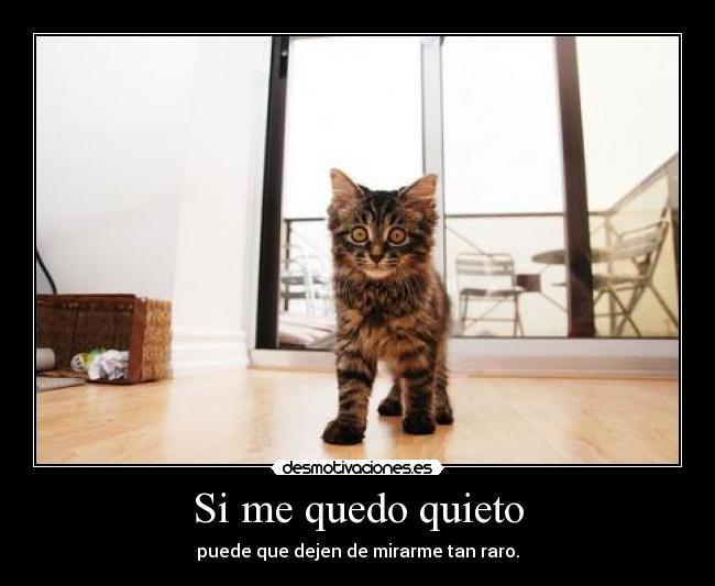 carteles gato desmotivaciones