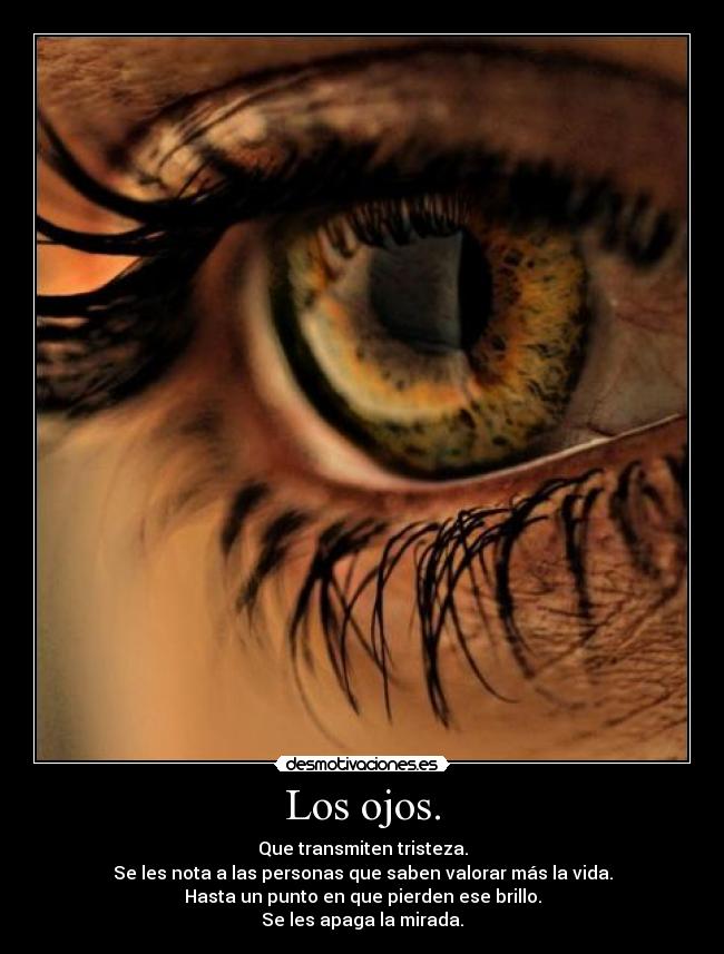 Los ojos. - Que transmiten tristeza.
Se les nota a las personas que saben valorar más la vida.
Hasta un punto en que pierden ese brillo.
Se les apaga la mirada.