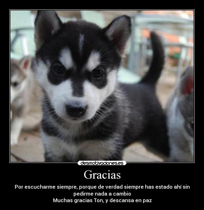 Gracias - Por escucharme siempre, porque de verdad siempre has estado ahí sin
pedirme nada a cambio
Muchas gracias Ton, y descansa en paz
