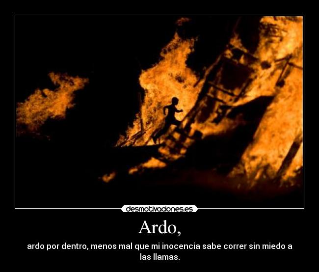 Ardo, -