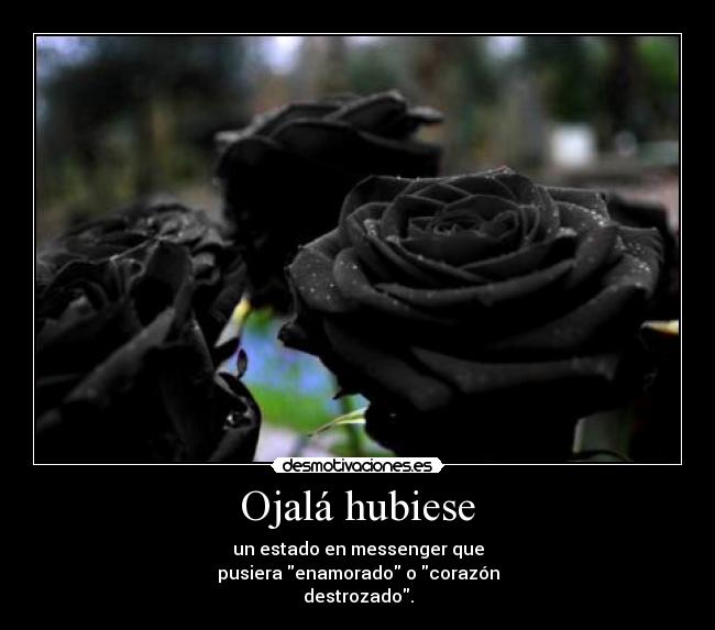 carteles amor por msn desmotivaciones