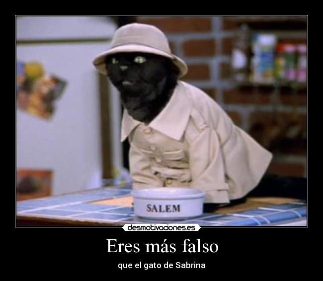 Eres más falso - que el gato de Sabrina