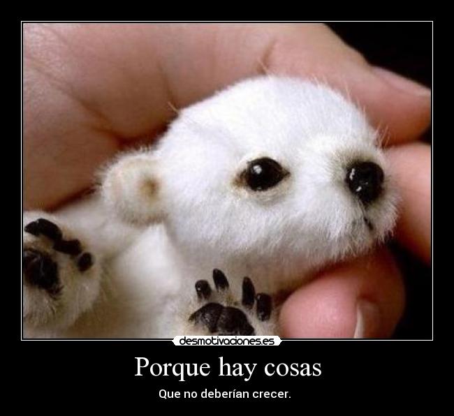 Porque hay cosas - 
