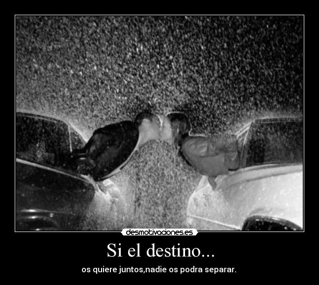 Si el destino... - 