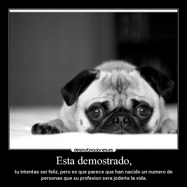 Esta demostrado, - tu intentas ser feliz, pero es que parece que han nacido un numero de
personas que su profesion sera joderte la vida.