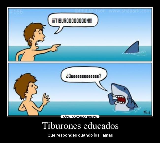 Tiburones educados - Que respondes cuando los llamas