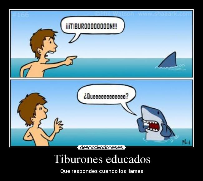 Tiburones educados - Que respondes cuando los llamas