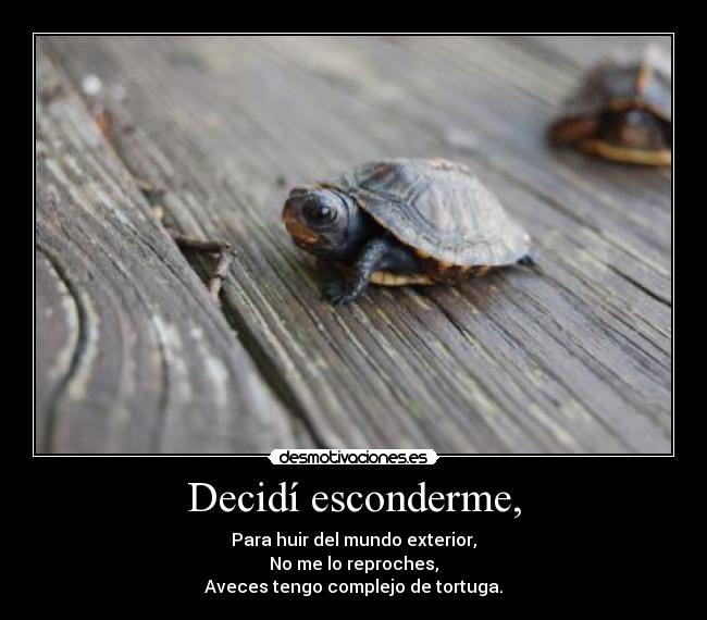 Decidí esconderme, - 