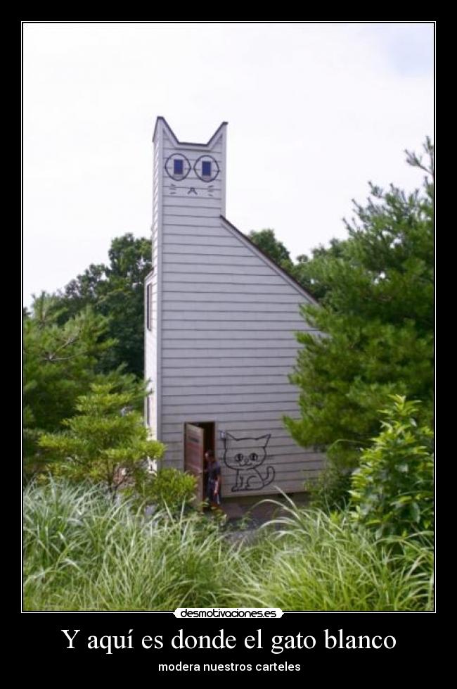 Y aquí es donde el gato blanco - modera nuestros carteles