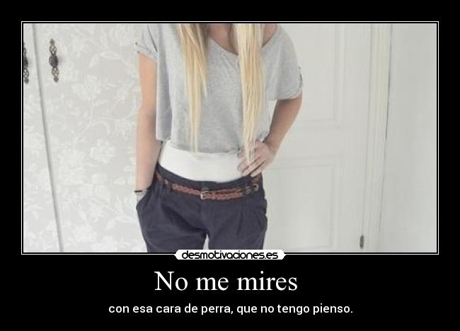 No me mires - con esa cara de perra, que no tengo pienso.