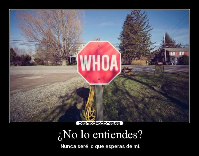 ¿No lo entiendes? - Nunca seré lo que esperas de mí.